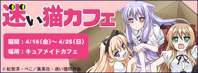 迷い猫カフェ