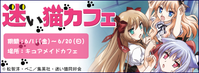 迷い猫カフェ